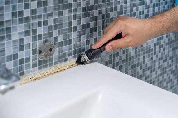 Best Mold Remediation for Schools in Norris City, IL